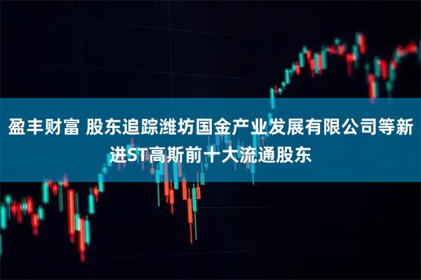 盈丰财富 股东追踪潍坊国金产业发展有限公司等新进ST高斯前十大流通股东