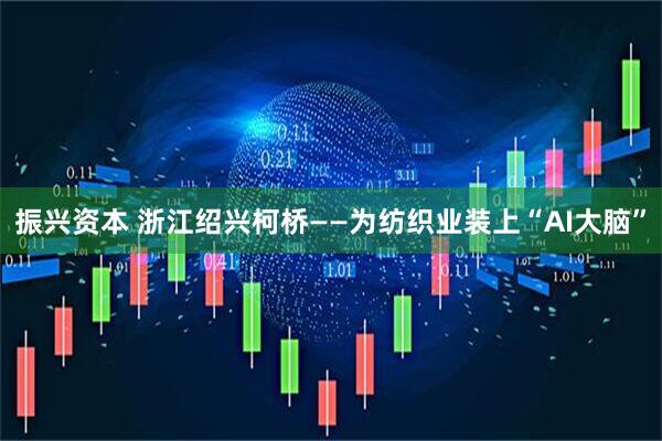 振兴资本 浙江绍兴柯桥——为纺织业装上“AI大脑”