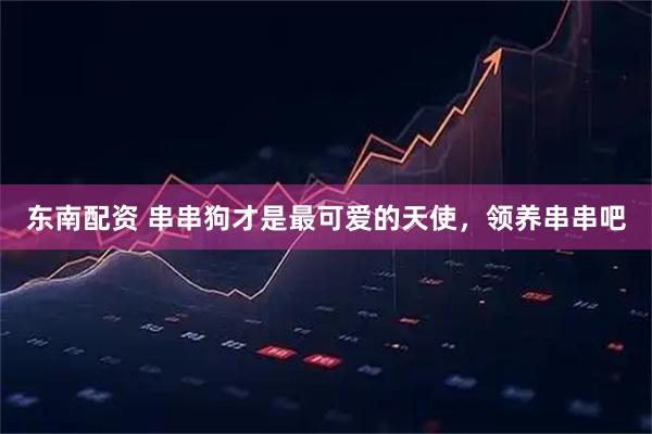 东南配资 串串狗才是最可爱的天使，领养串串吧