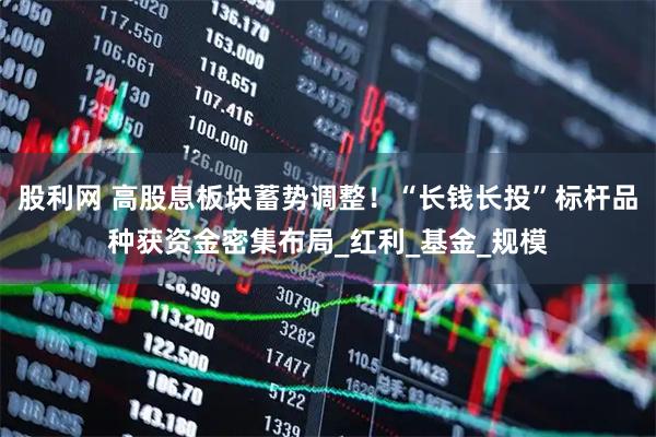 股利网 高股息板块蓄势调整！“长钱长投”标杆品种获资金密集布局_红利_基金_规模