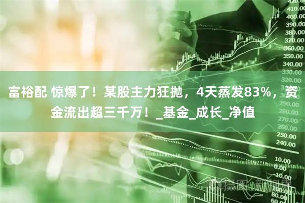 富裕配 惊爆了！某股主力狂抛，4天蒸发83%，资金流出超三千万！_基金_成长_净值